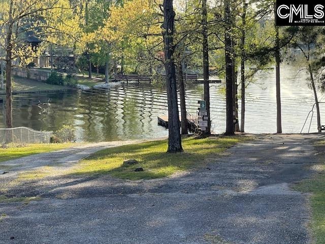 124a Lynch Ln, Chapin, SC 29036 - photo 1