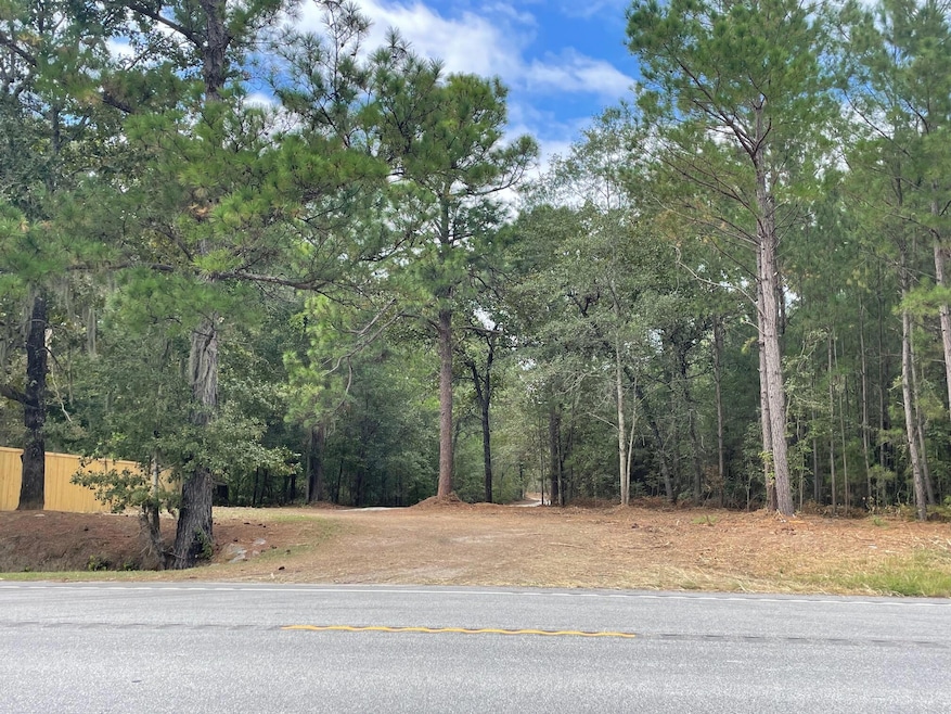 4 S Carolina 45, Cross, SC 29436 - photo 1