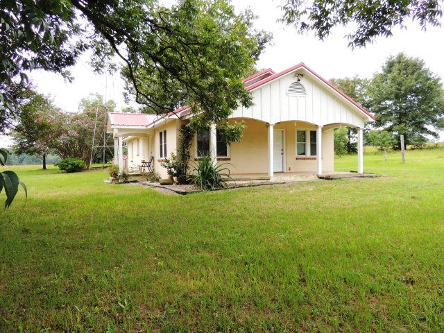 Main View
