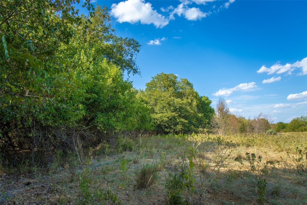 Tract 3 County Road 4460, Decatur, TX 76234 - photo 1
