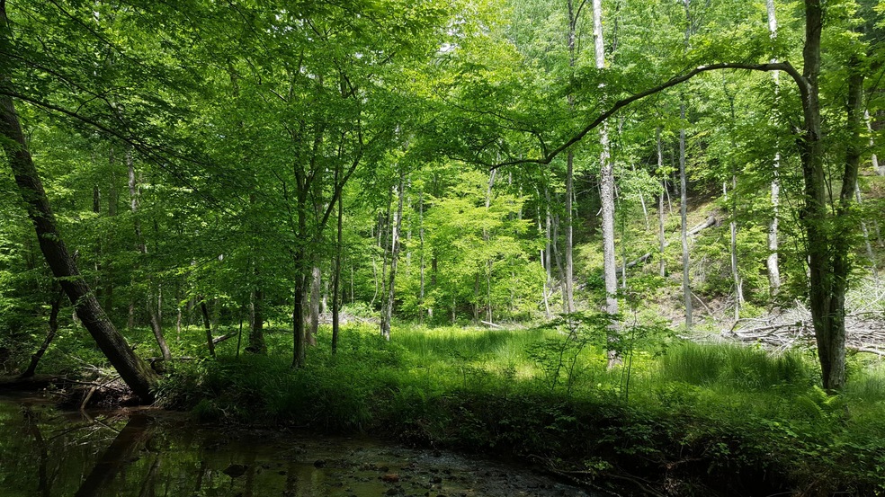 Primary View of Property