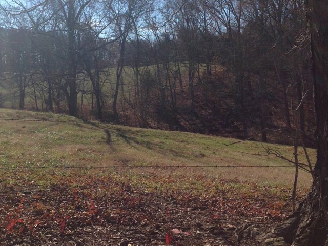 12 Acres Brangus Ln, Cookeville, TN 38506 - photo 1