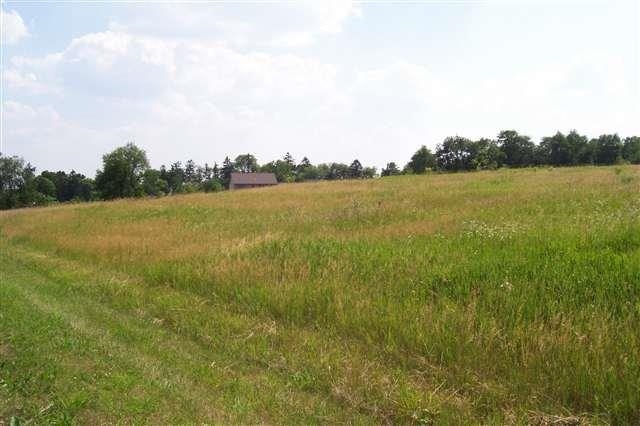 Lot 12 Alphorn Rd, Clarno, WI 53566 - photo 1