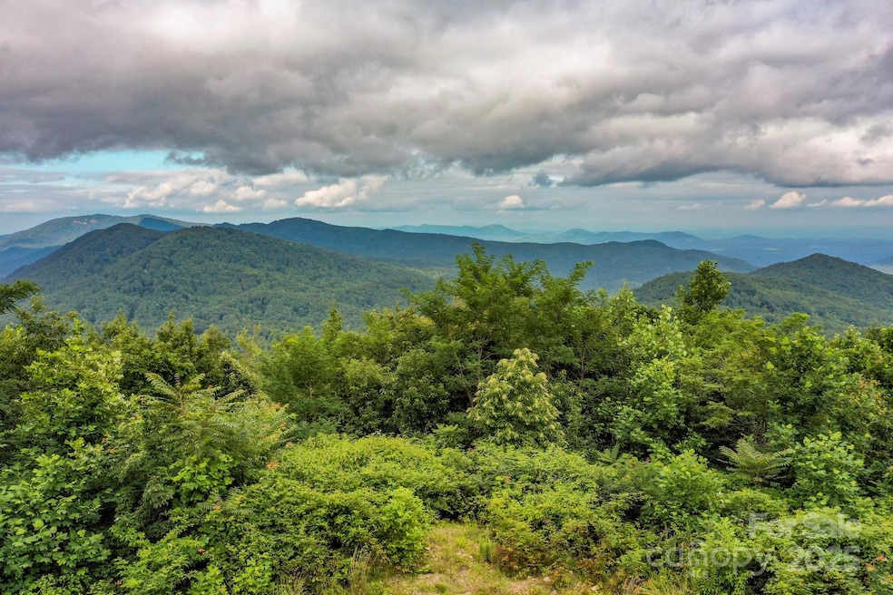 9999 High Cliffs Trail, Black Mountain, NC 28711 - photo 1