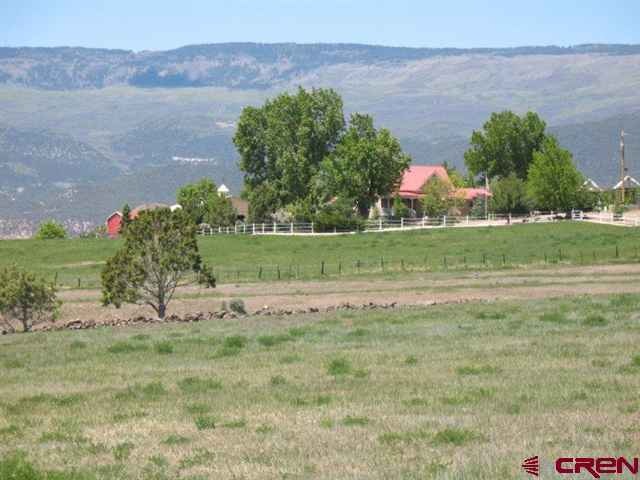 1145 NW Bluebird Ave, Cedaredge, CO 81413 - photo 1