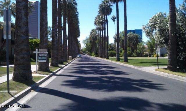 Palm tree lined street