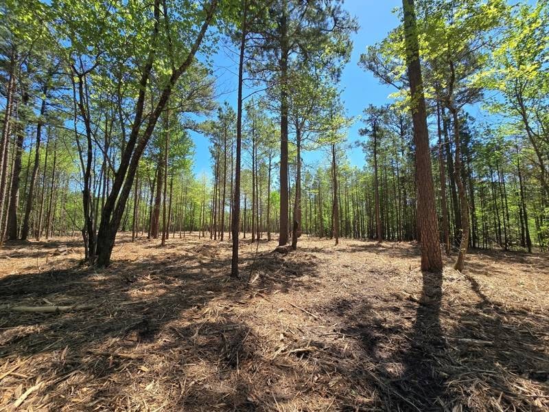 4 Tbd Big Cedar Oklahoma, Big Cedar, OK 74939 - photo 1