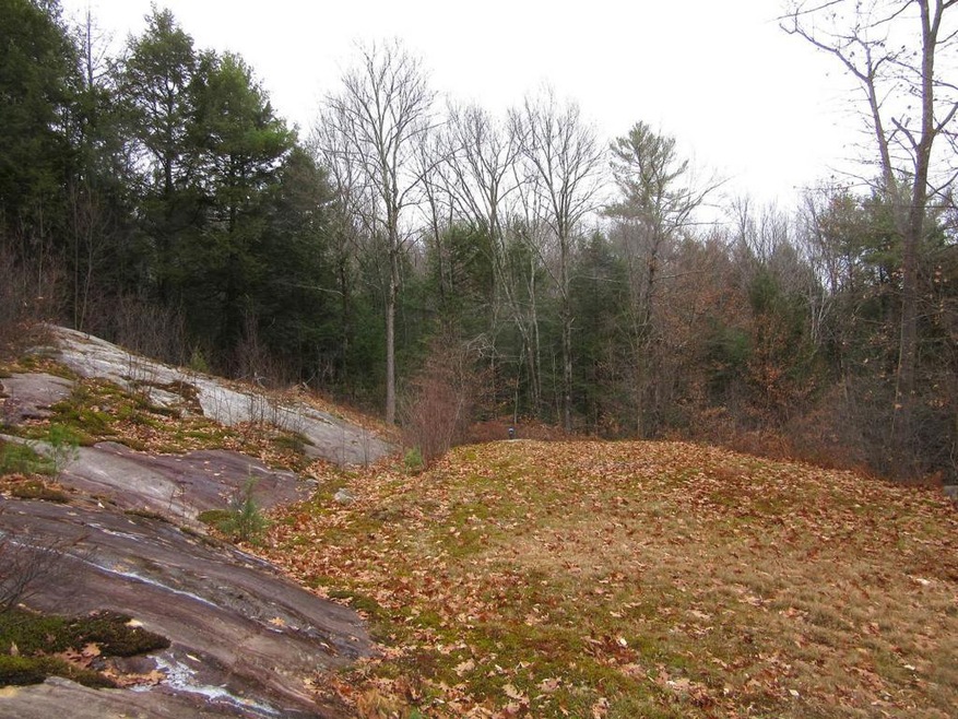 805 Wellington Hill Rd E, Putney, VT 05346 - photo 1