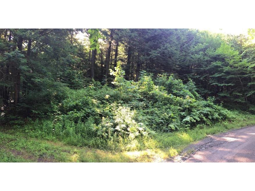 2 Starbuck Rd, Pomfret, VT 05084 - photo 1