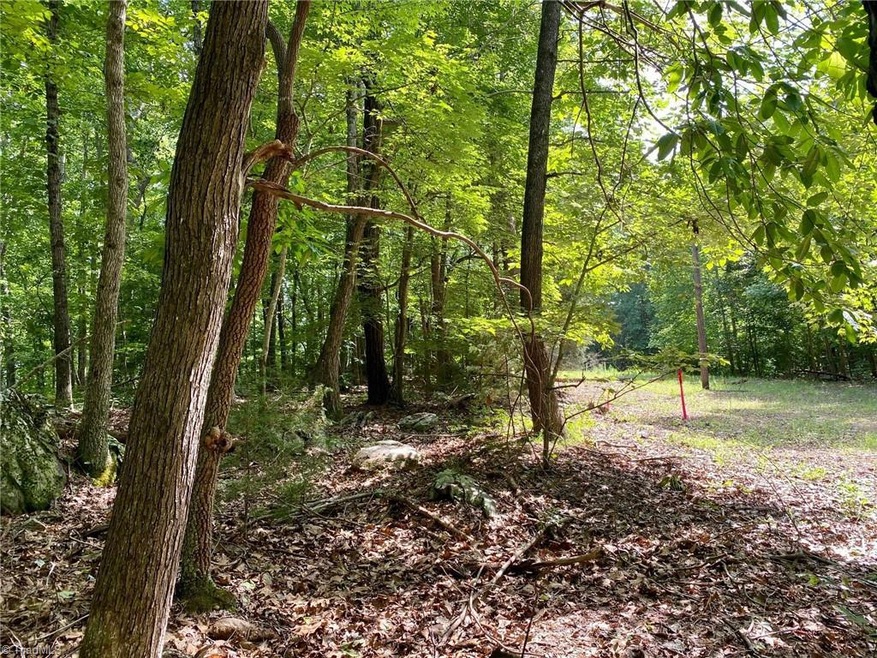 Lot 1 Lassiter Mill Rd, Asheboro, NC 27205 - photo 1
