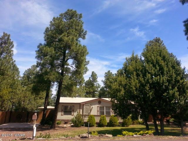 280 E Reidhead St, Show Low, AZ 85901 - photo 1