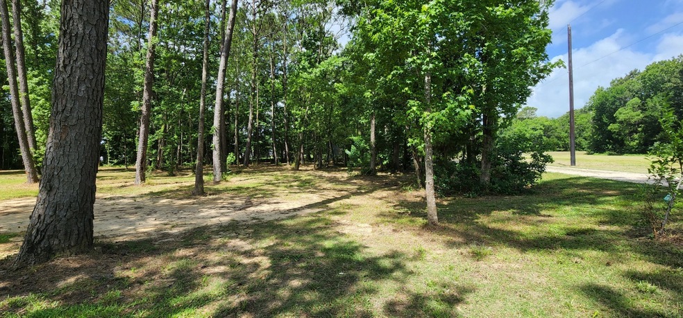 200 Lightening Bolt Ln, Dayton, TX 77535 - photo 1