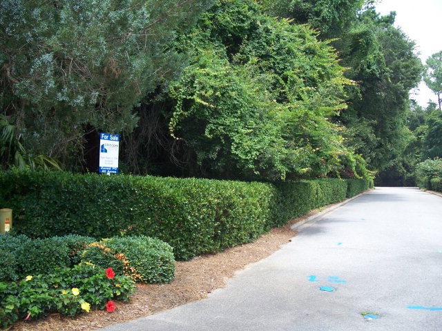 501 Longview Rd, Saint Simons Island, GA 31522 - photo 1