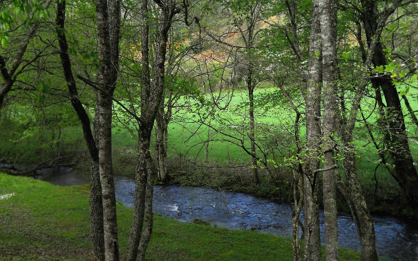 Main View
