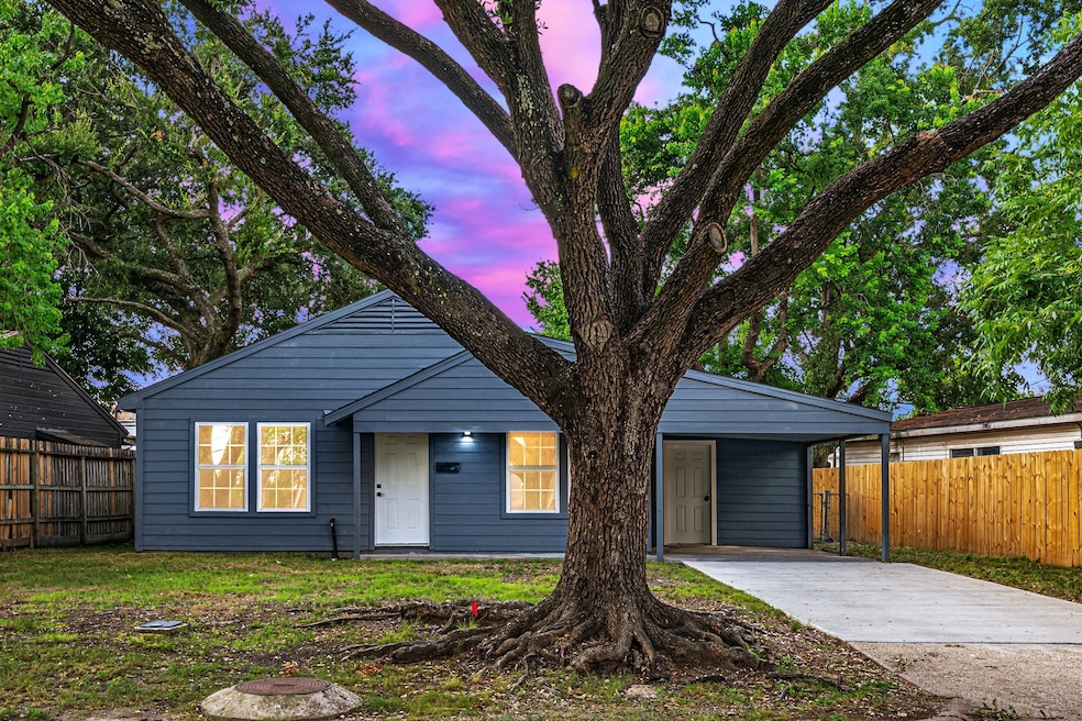 Welcome to 2108 Camille St. Large mature oak tree