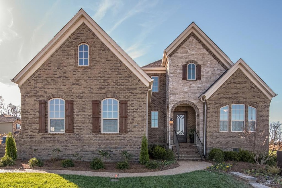 *Pictures are of a different Colton, for viewing purposes only. 