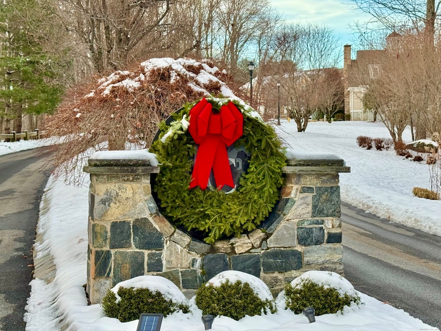 250 Hunter Dr unit 250, Litchfield, CT 06759 - photo 1