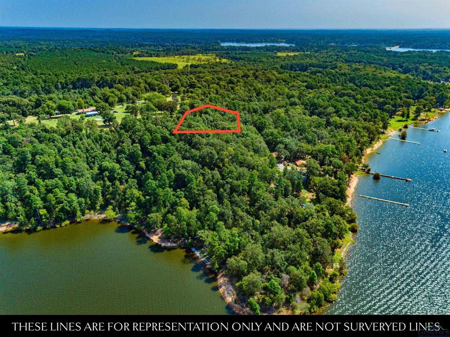 Lot 81 Tbd Lock Mountain Rd, Avinger, TX 75630