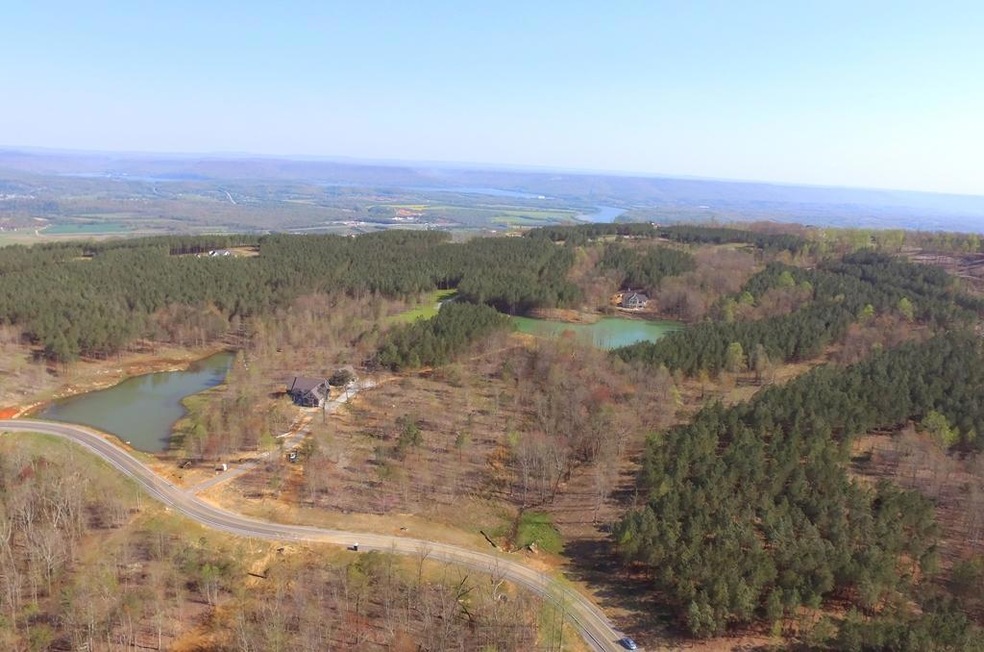 0 High Point Ln unit 1308638, Jasper, TN 37347 - photo 1