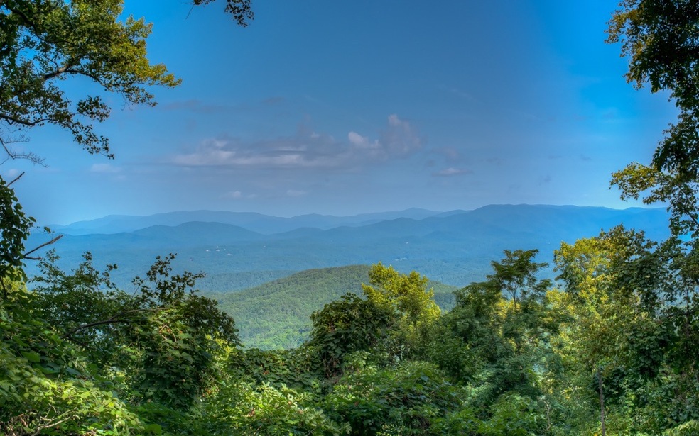 1575 Walnut Ridge, Ellijay, GA 30536 - photo 1