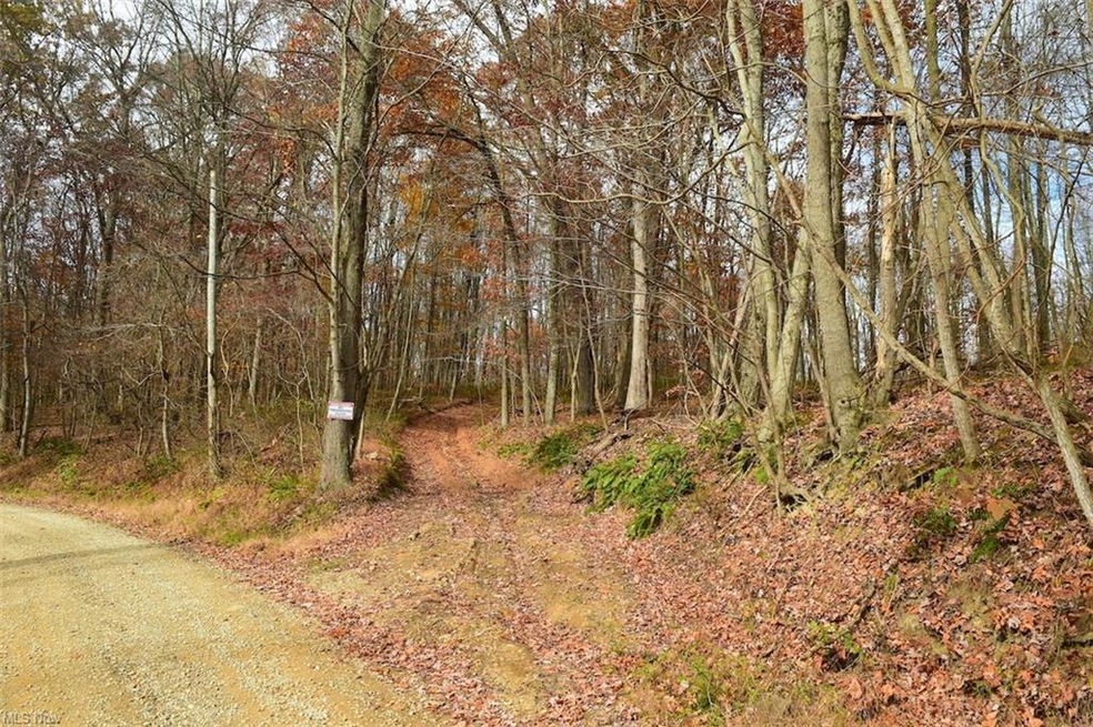 0 Beam Rd unit 4419337, Glenmont, OH 44628 - photo 1