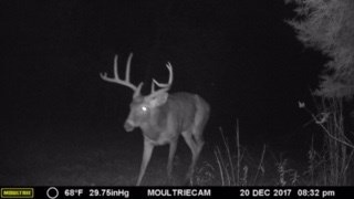 48 Acres Minnow Farm Rd, Quitman, GA 31643 - photo 1