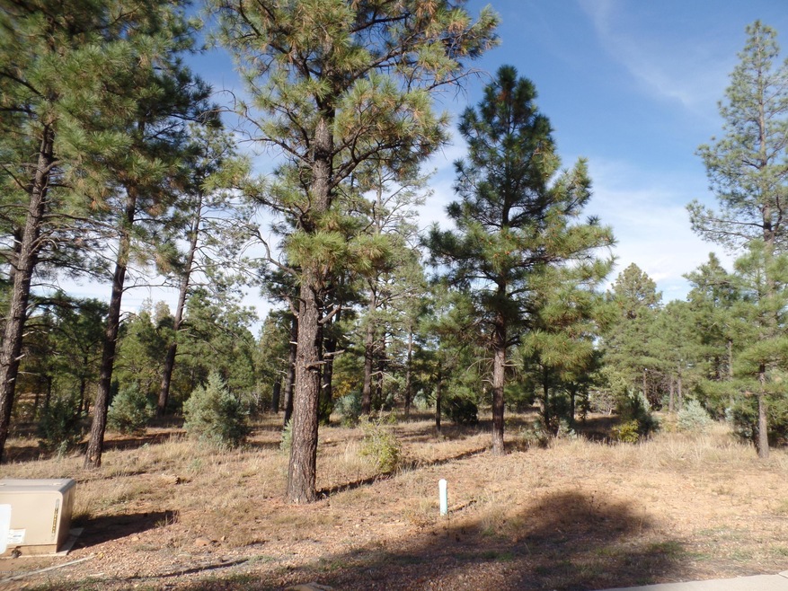 260 Summer Berry Dr, Show Low, AZ 85901 - photo 1