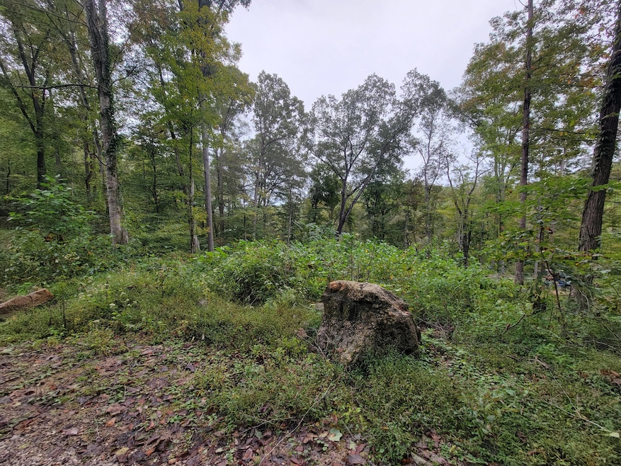 150 Punch's End, Burnside, KY 42519 - photo 1