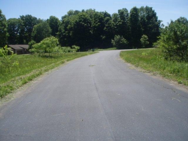 Primary Photo