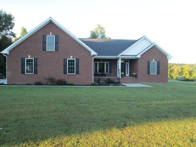 Main View