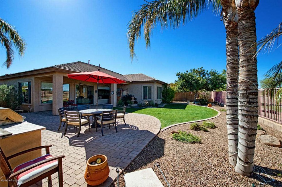 Backyard 4