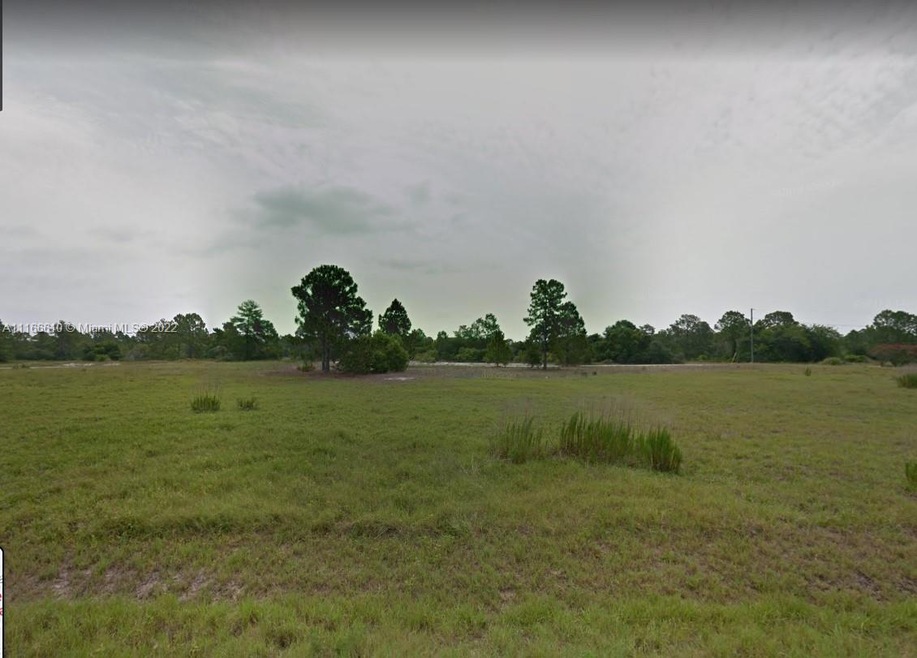 627 Dreamland Dr, Lake Placid, FL 33852 - photo 1