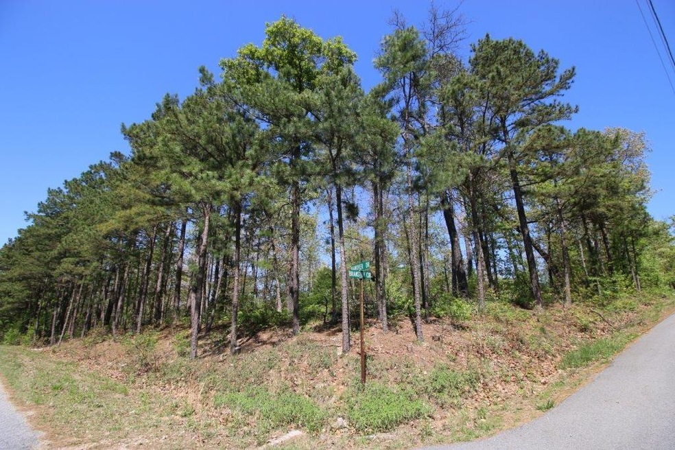 0 Hanover & Branston Cir, Bella Vista, AR 72715 - photo 1