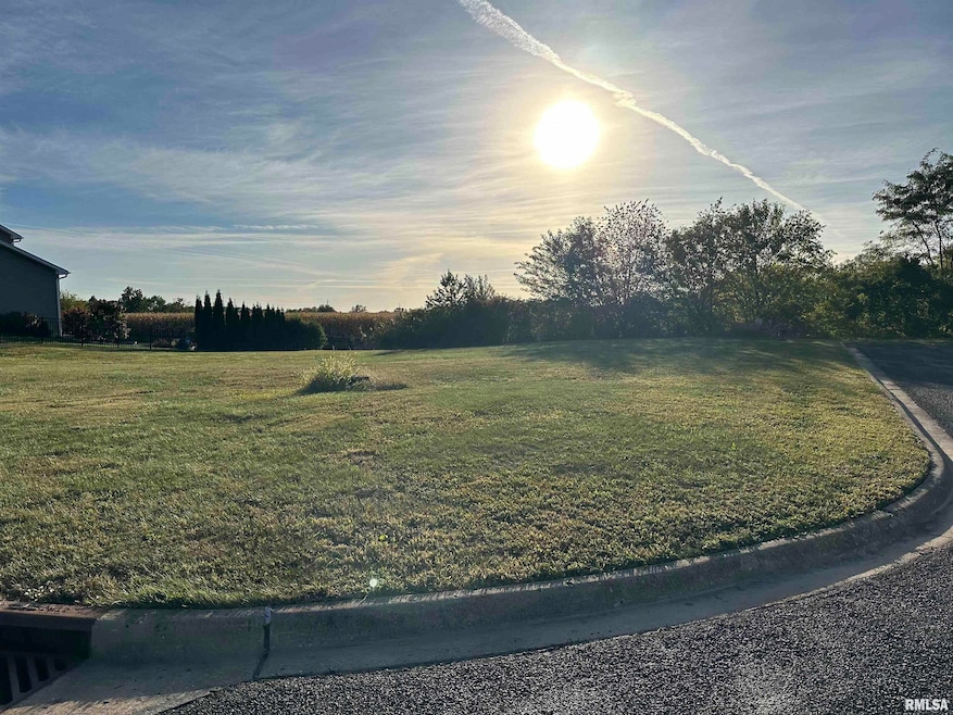 113 Sable Ln, Washington, IL 61571 - photo 1