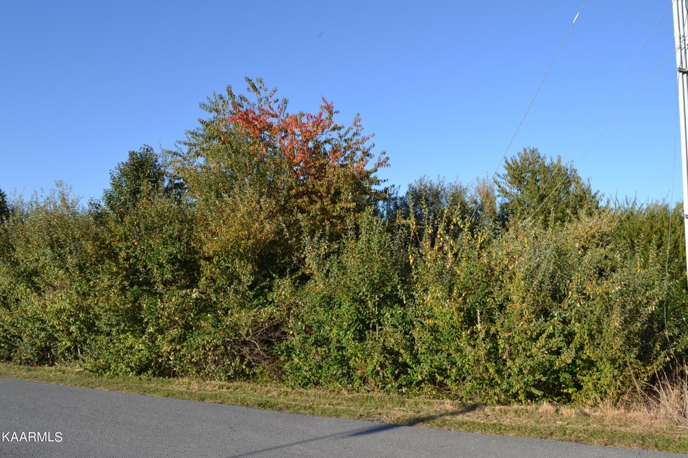 0 Woodgate Drive Lot Trd, Crossville, TN 38571 - photo 1