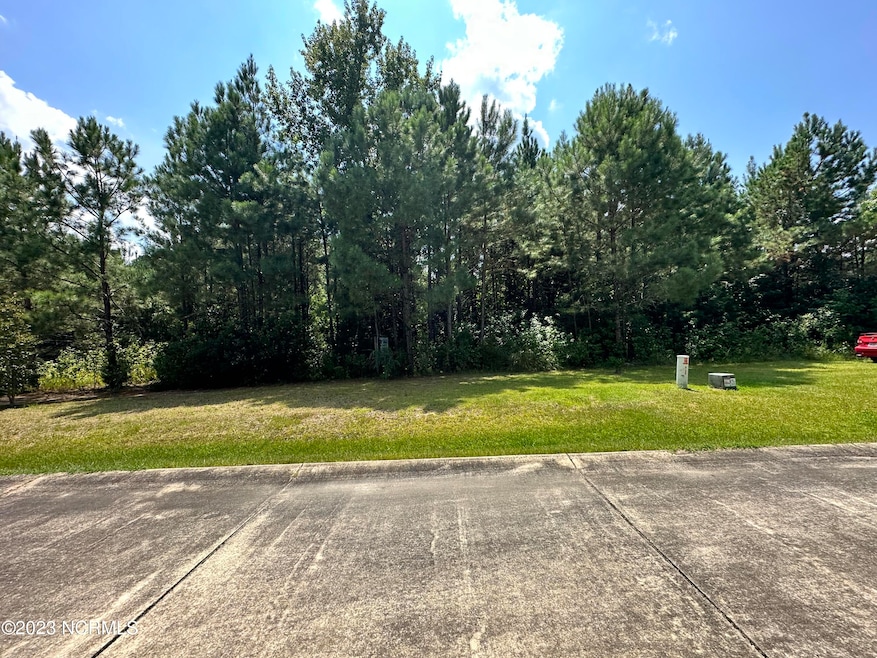 46 Dana's Way, Columbia, NC 27925 - photo 1