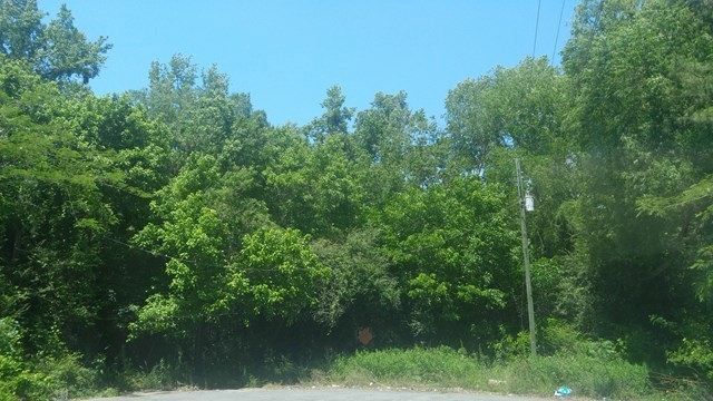 Primary Photo