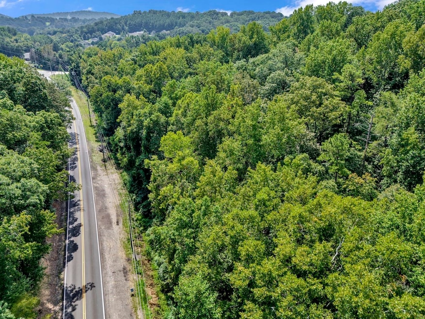 2520 Sweeney Hollow Rd, Center Point, AL 35215 - photo 1