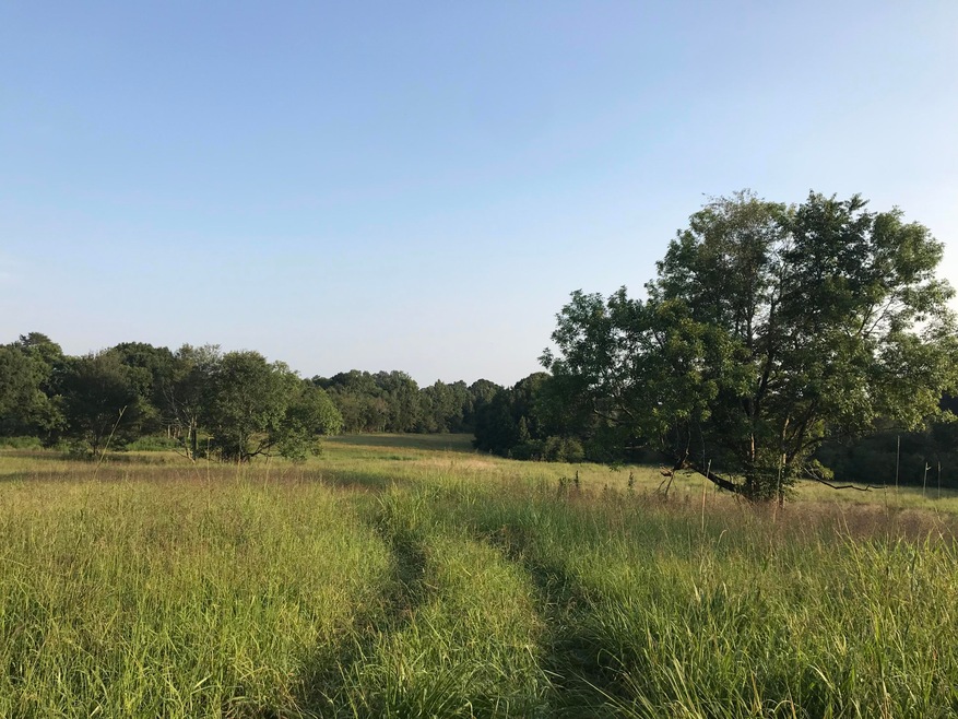 0 W Gordon Pond Rd unit 1286444, Lafayette, GA 30728 - photo 1