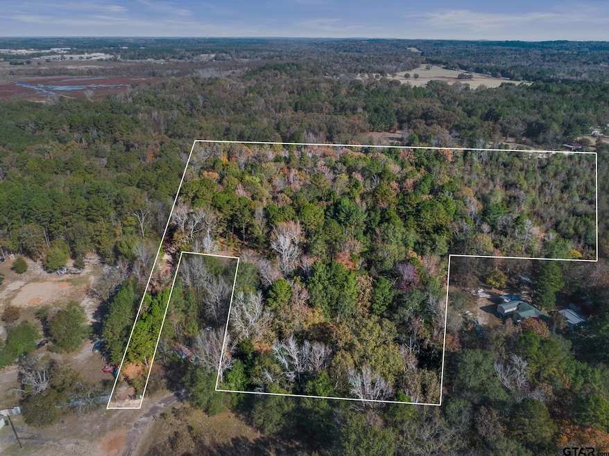 TBD County Road 396, Tyler, TX 75708 - photo 1