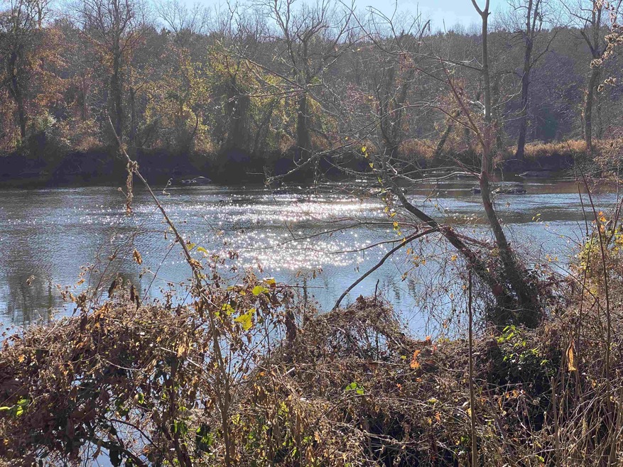 375 Riverwalk Trail, Pittsboro, NC 27312 - photo 1