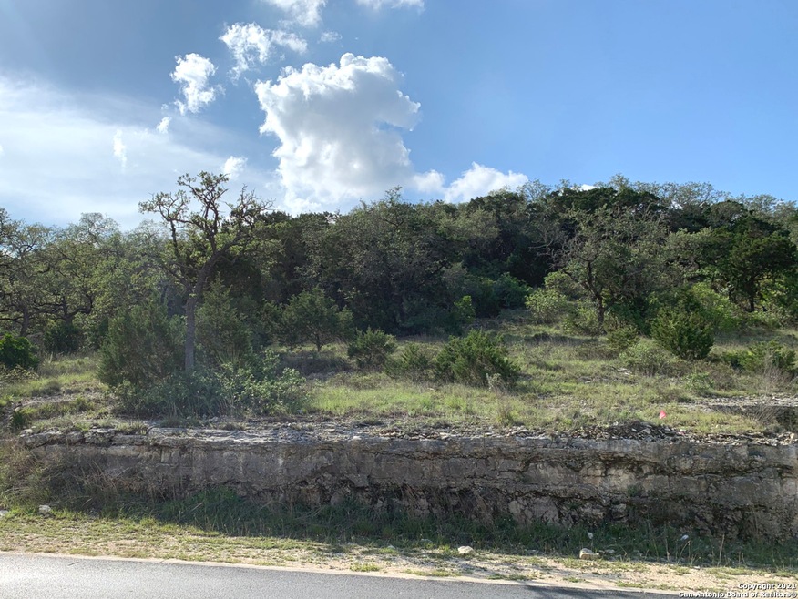 19715 Terra Mont, San Antonio, TX 78255 - photo 1