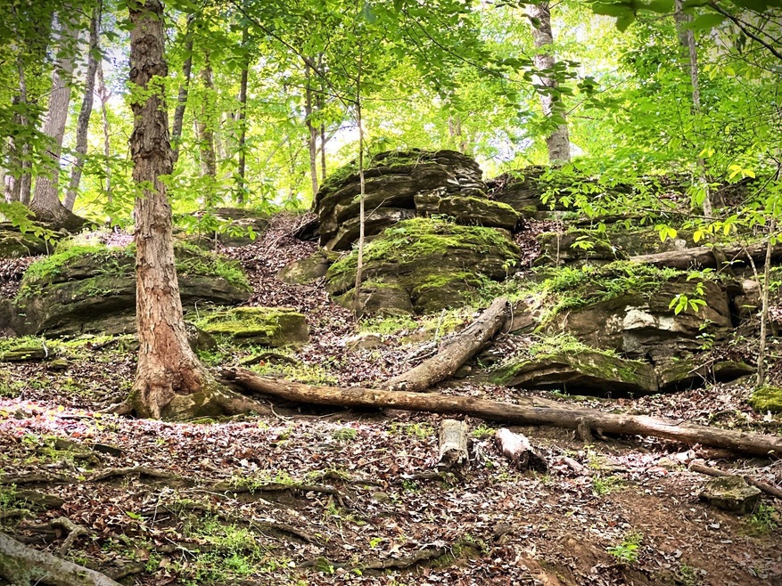 0 3 Island Rd unit RTC2784849, Walling, TN 38587 - photo 1