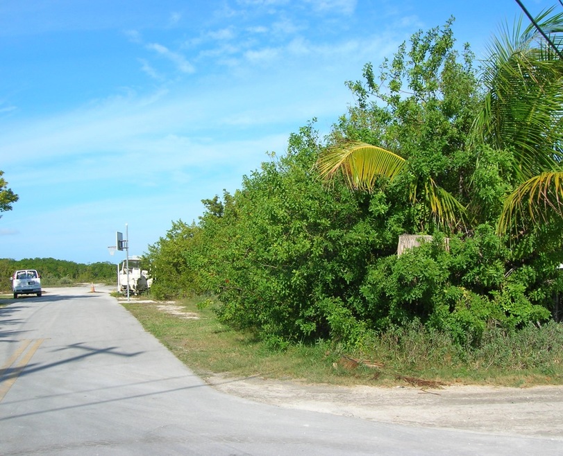 Corner Canal Lot