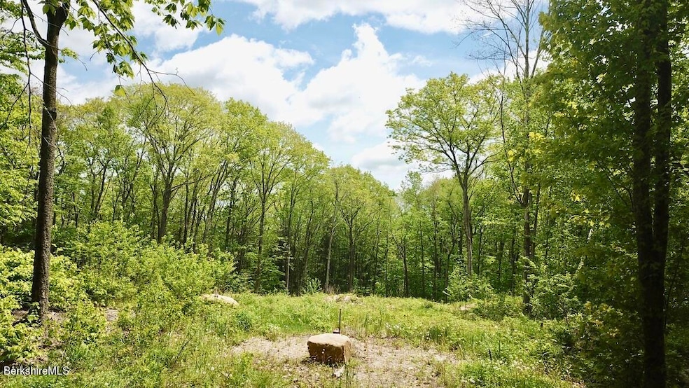 0 Jamie Ln, Sandisfield, MA 01245 - photo 1