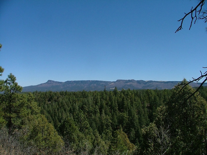 28 Puma Ct unit H13, Trinidad, CO - photo 1