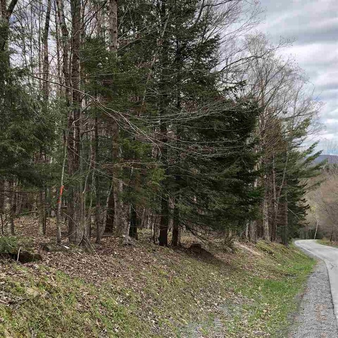 lot#5 Branch Hill Rd unit Lot 5, Readsboro, VT 05350 - photo 1
