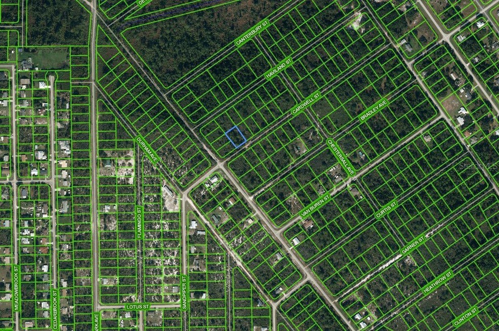 1202 Cardwell St, Lake Placid, FL 33852 - photo 1