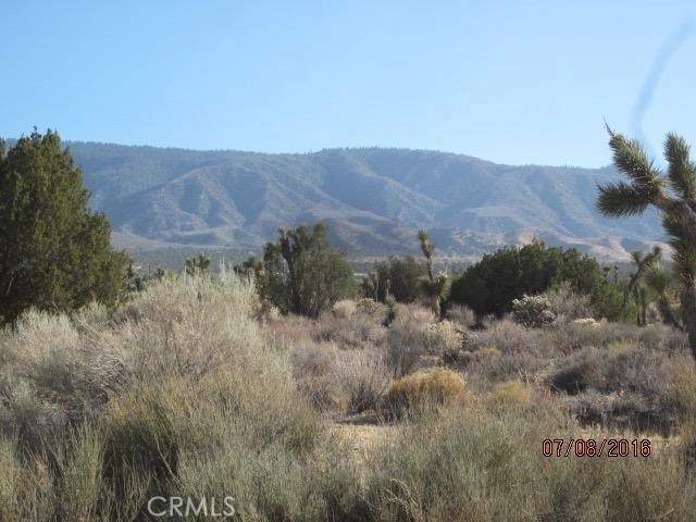 0 Hemlock unit CV17263101, Pinon Hills, CA 92372 - photo 1