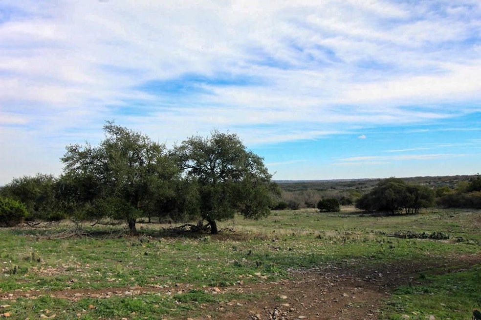 3624 Kramer Rd, Harper, TX 78631 MLS 113560